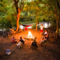 The Ultimate Guide to Outdoor Adventures near Chevy Chase, Maryland