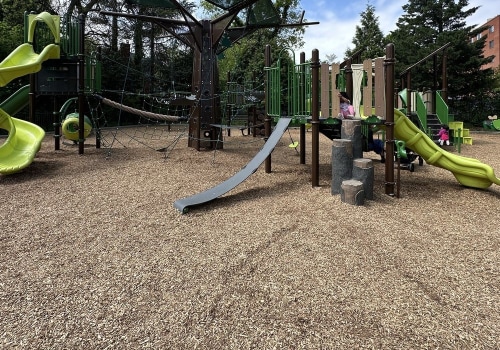 The Ultimate Guide to Outdoor Activities in Chevy Chase, Maryland